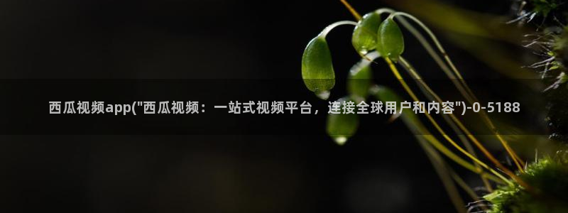 西瓜网在线电影