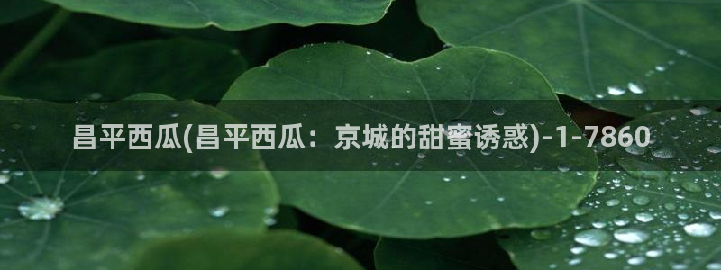 西瓜影院播放器