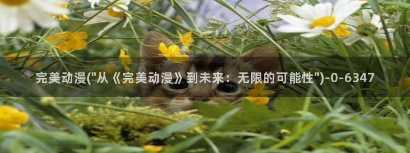 布丁动漫
